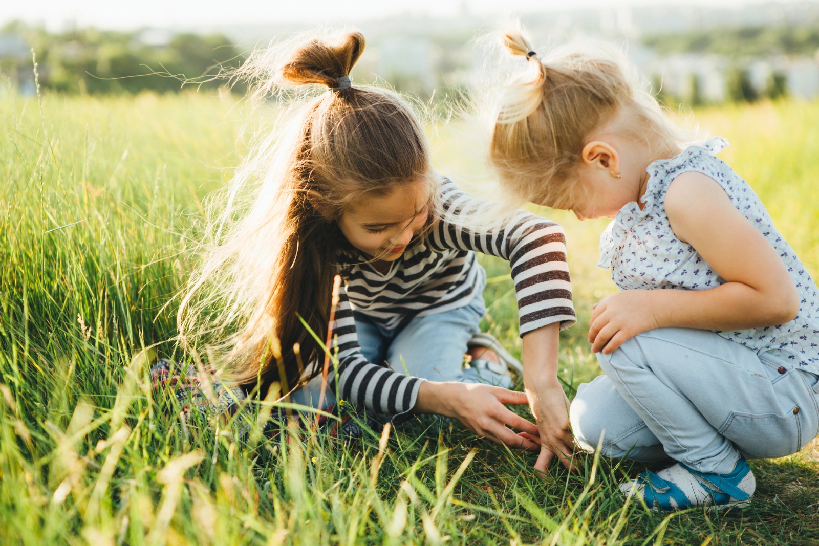 diferencia entre piojos, pulgas y garrapatas